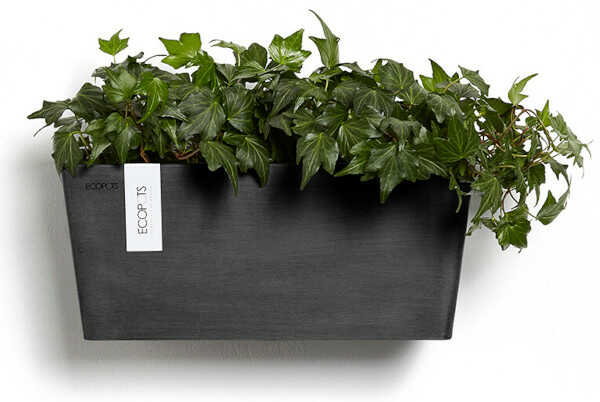 Manhattan Wall Medium Planter Colour Dark Grey